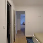 Dream Modern House *